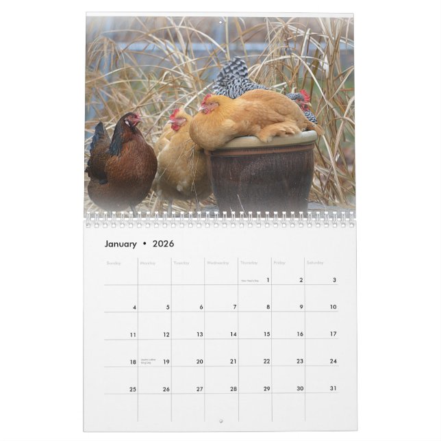 Chicken Farmyard Calendar (Jan 2026)