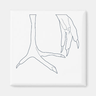 chicken feet magnet