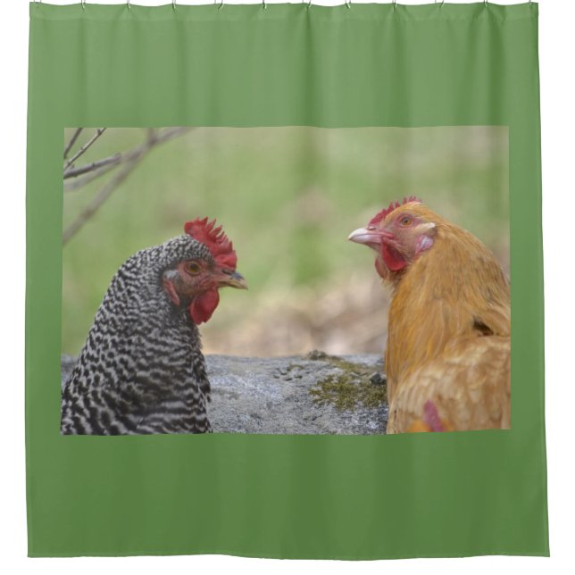 Chicken Hawk Alert (Front)