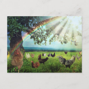 Chicken Heaven Postcard