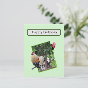 Chicken Hide And Seek,  Postcard