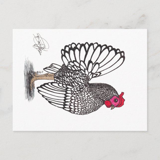 CHICKEN HOLIDAY POSTCARD (Front)