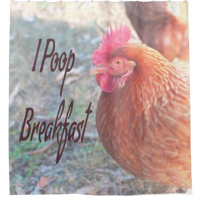 Chicken I poop Breakfast Funny Humor (Front)