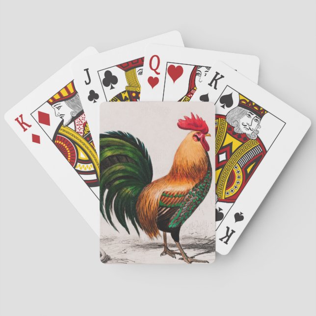 Chicken illustrated playing cards (Back)