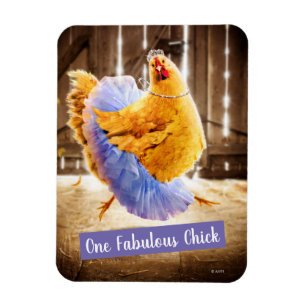 Chicken in a Tutu Magnet
