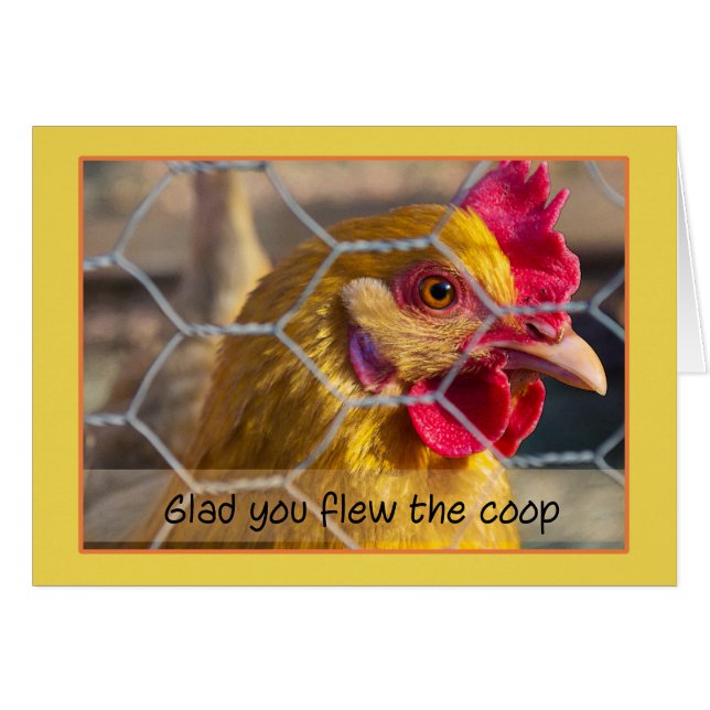 Chicken in fence Glad you flew the coop get well (Front Horizontal)