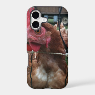 Chicken Is Watching You