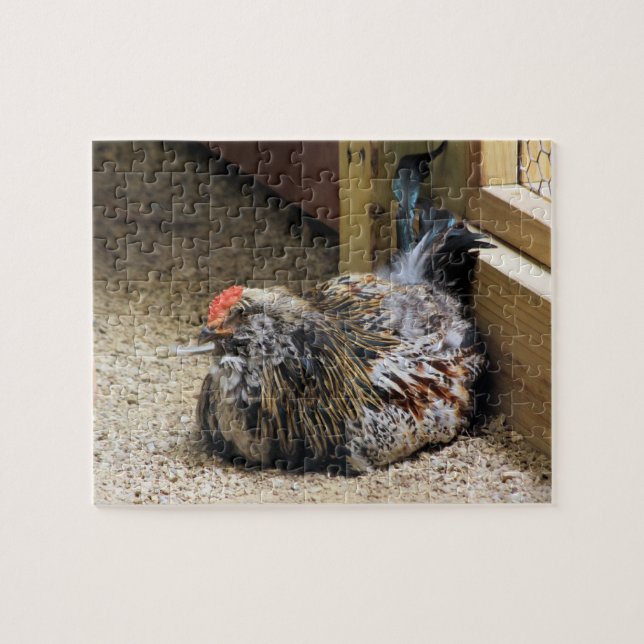 Chicken Jigsaw Puzzle (Horizontal)
