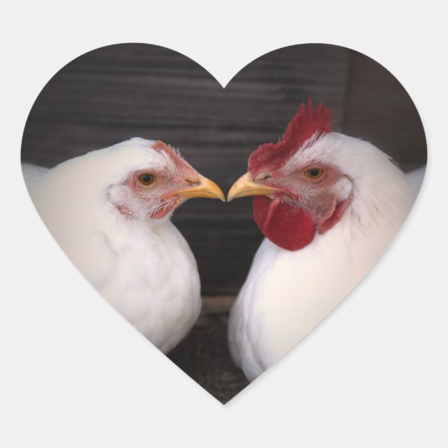 Chicken Love Sticker (Front)