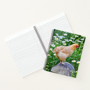 Chicken Loves Daisies Notebook
