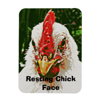 Chicken Magnet