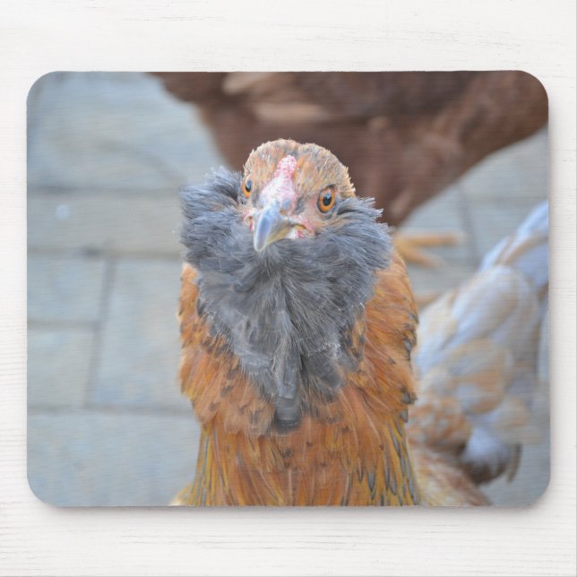 Chicken Mousepad (Front)