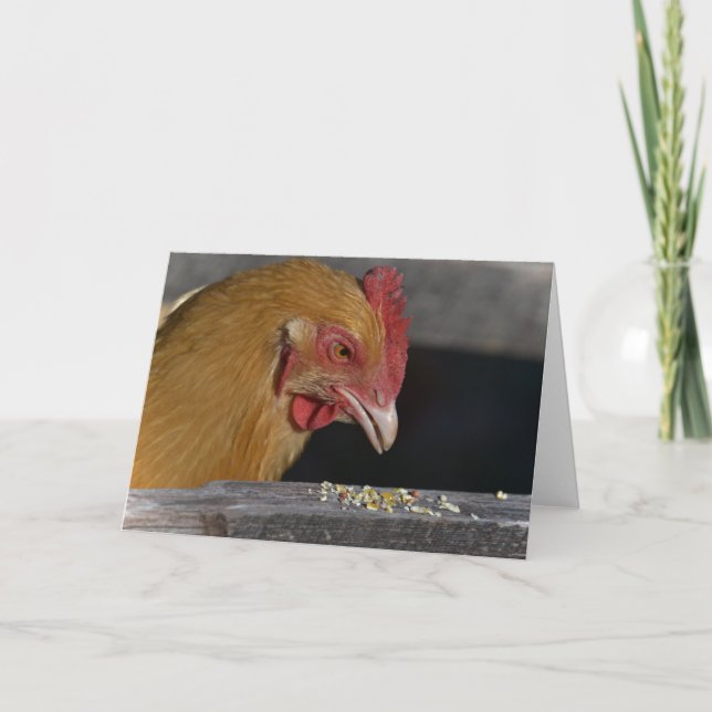 Chicken Note Card (Front)
