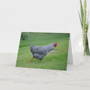 Chicken Notecard