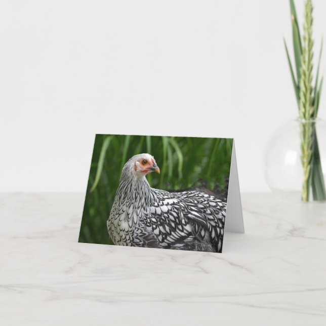 Chicken Notecard (Front)