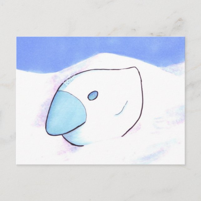 Chicken of Ice postcard (Front)