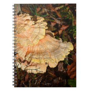 Chicken of the Woods Mushroom Notebook