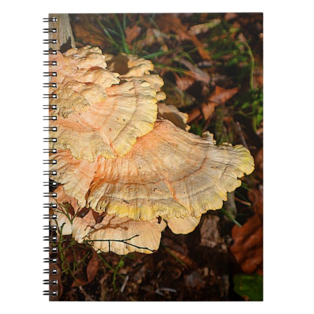 Chicken of the Woods Mushroom Notebook (Front)