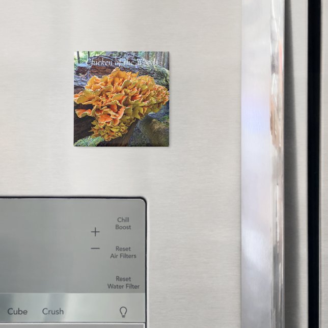 Chicken of the Woods Mushroom Photo Magnet (In Situ (Fridge))