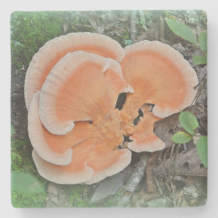 Chicken Of The Woods Mushroom Stone Coaster