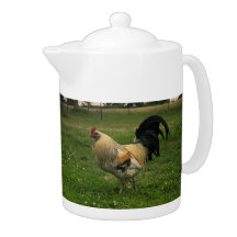 Chicken On the Farm Photo