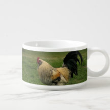Chicken On the Farm Photo