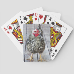 Chicken on wood deck, Silver Laced Wyandotte Playing Cards