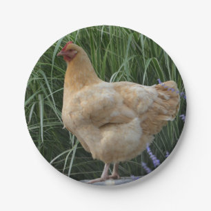 Chicken Paper Plate