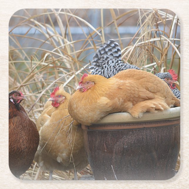 Chicken Party Coaster (Front)