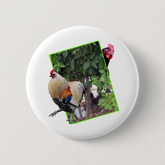 Chicken Peekaboo Design, 2 Inch Round Button (Front)