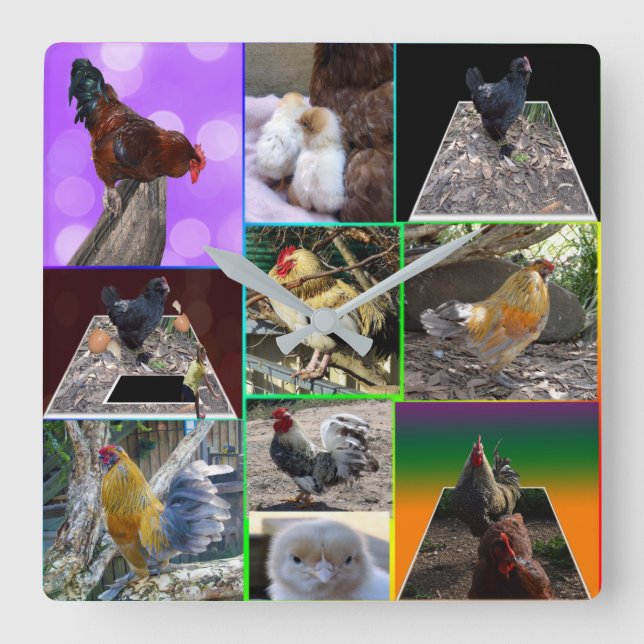 Chicken Photo Collarge, Wall Clock (Front)