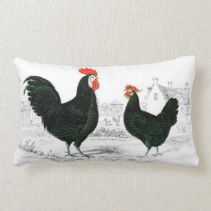 Chicken Pillow