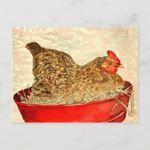 chicken postcard