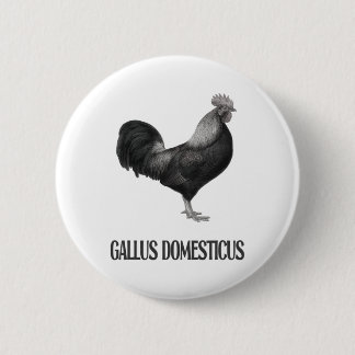 Chicken Poultry Design _1 2 Inch Round Button
