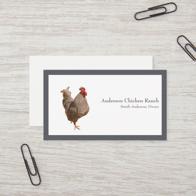 Chicken Rancher Business Card (Front/Back In Situ)