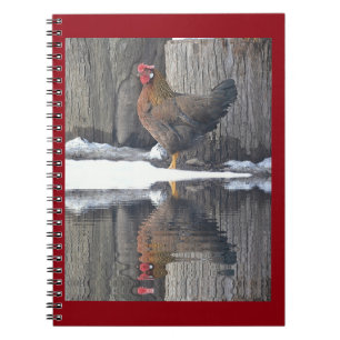 Chicken Relections Notebook