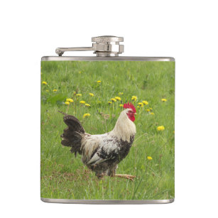 chicken, rooster, animal, bird, farm, agriculture, hip flask