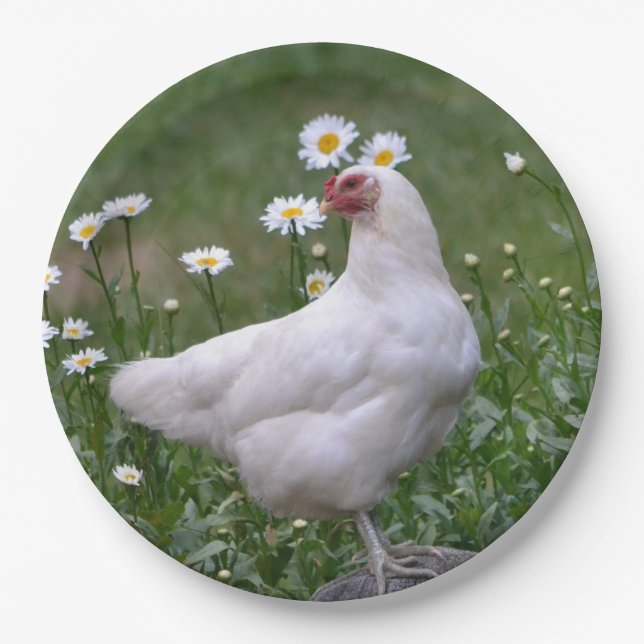 Chicken With Daises Paper Plate (Front)