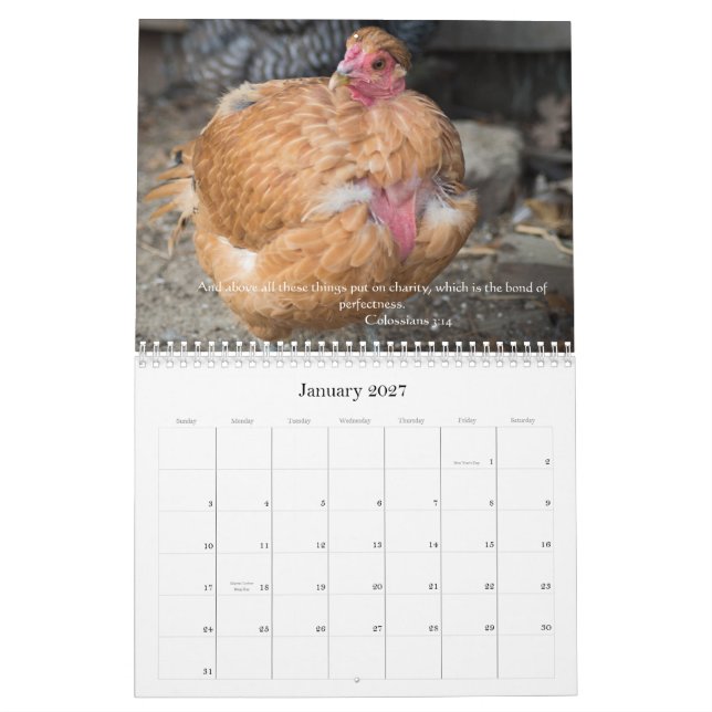 Chickens 2014 ( With Bible Passages ) Calendar (Jan 2027)