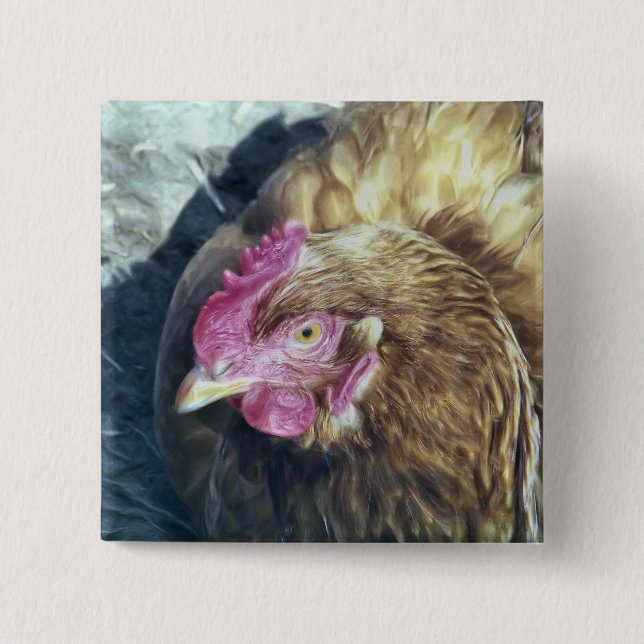 CHICKENS 2 INCH SQUARE BUTTON (Front)
