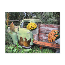 Chickens and old pick up truck