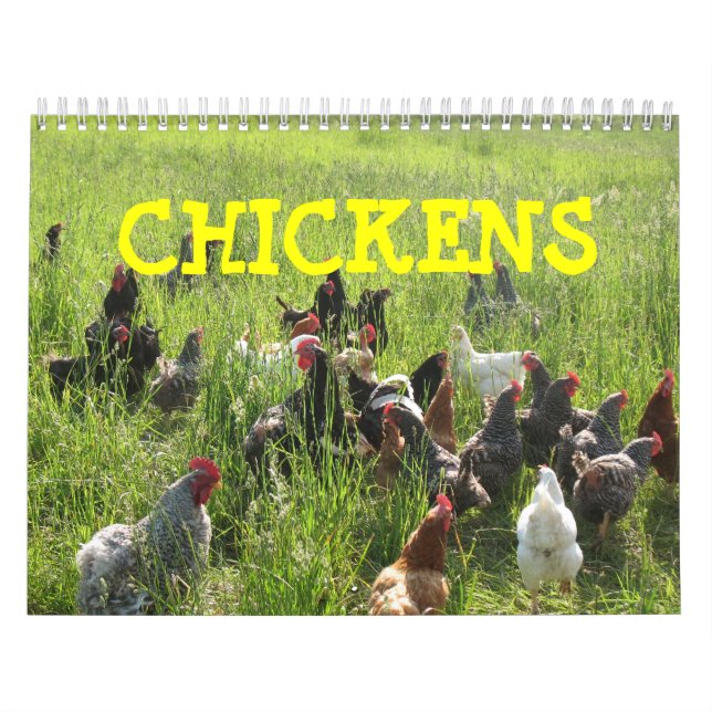 Chickens Calendar (Cover)