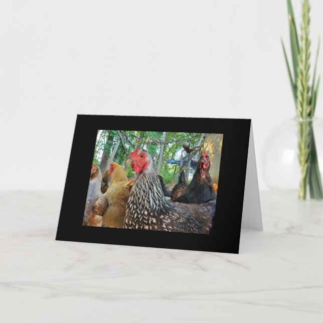 Chickens Card (Front)
