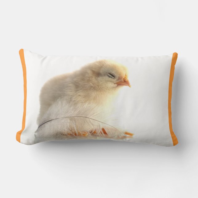 chickens chicks with feather lumbar pillow (Front)