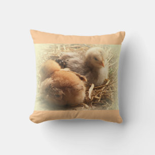 chickens chicks with feather throw pillow
