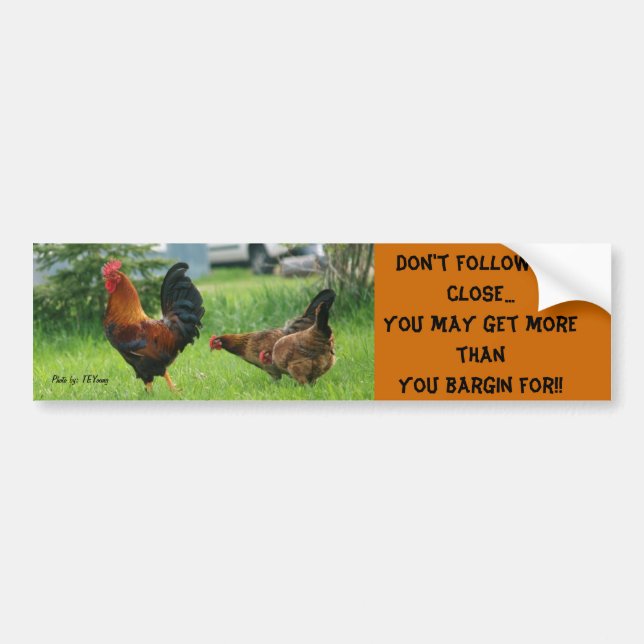 chickens, Don't follow to close... You may get ... Bumper Sticker (Front)