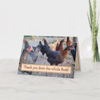 Chickens Humour Funny Barnyard Thank You Card