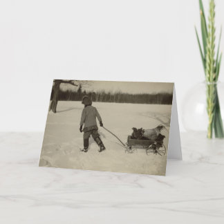 Chickens In Snow Greeting Card