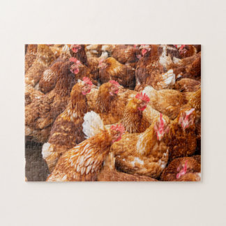 Chickens  jigsaw puzzle
