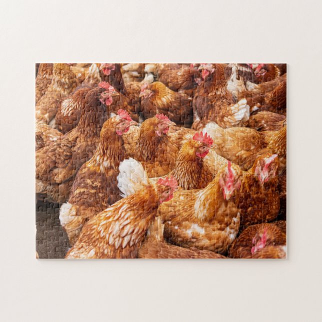 Chickens  jigsaw puzzle (Horizontal)